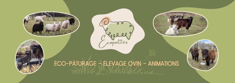 🌿🐑 Notre site internet fait peau neuve ! 🚀