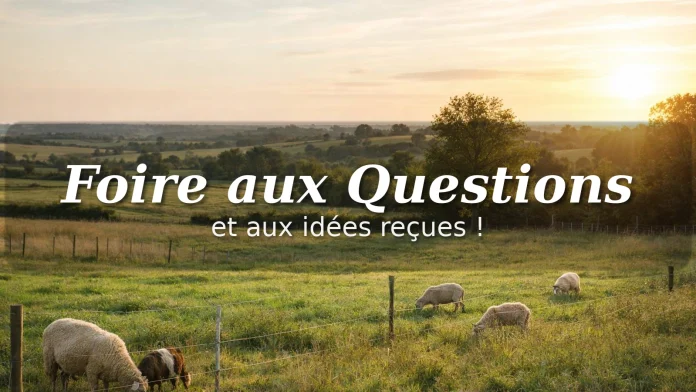 foire-aux-questions-1600x900 foire aux questions