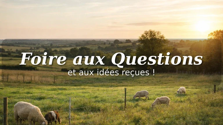 Faut-il une présence quotidienne en éco-pâturage ?