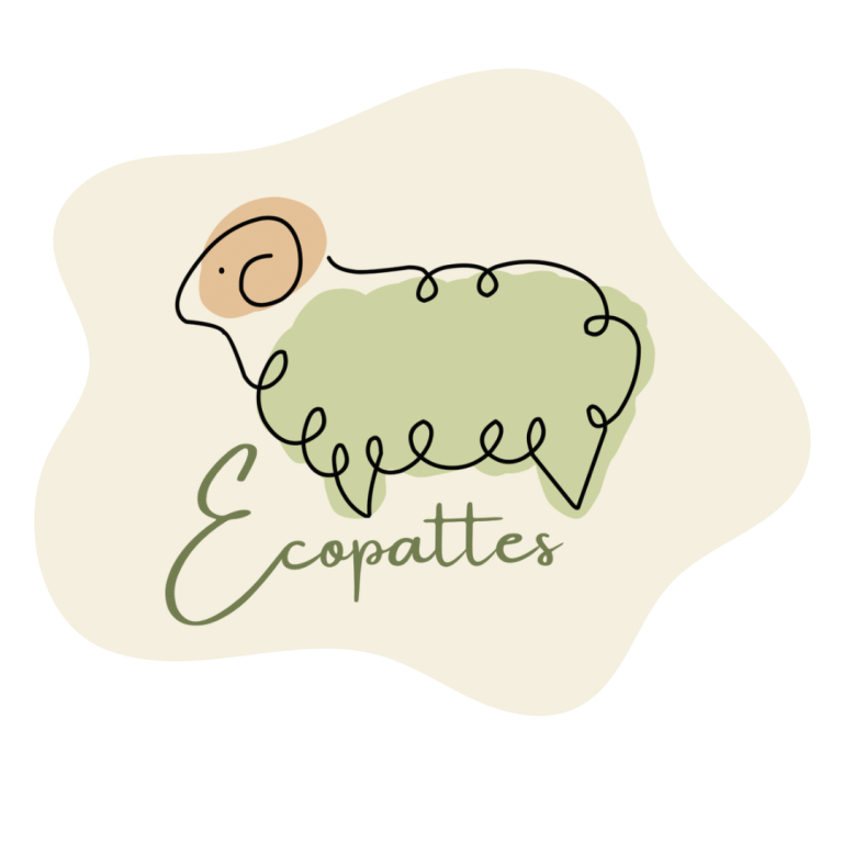🌱 Une page se tourne chez Écopattes : fin de l’activité d’élevage et d’éco-pâturage, et nouveau départ…