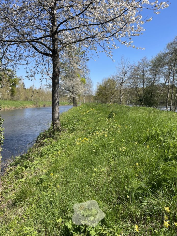berge-eau-sarthe-ecopattes berge-eau-sarthe-ecopattes