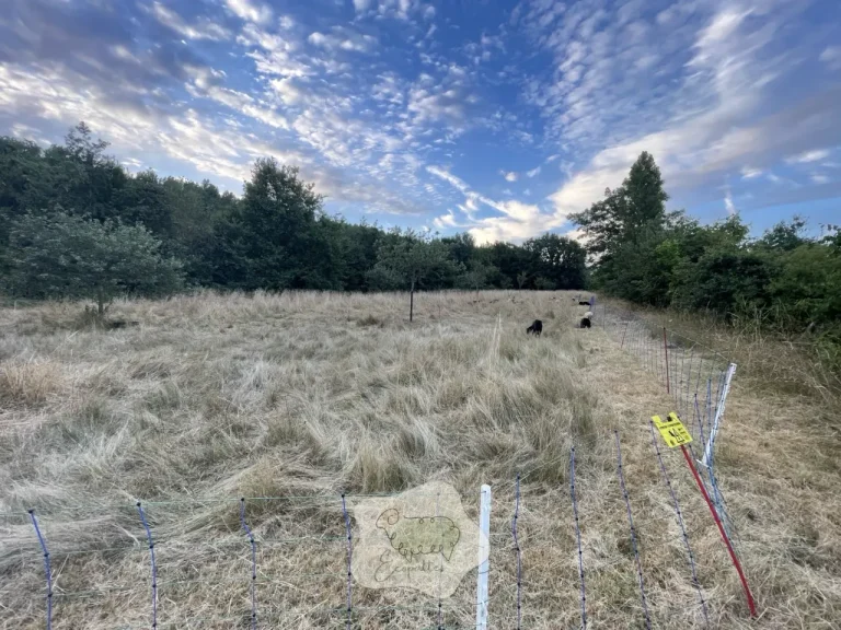 Boiteries en territoire humide : le piège qui s’installe “tranquillement”… jusqu’à vous voler la saison