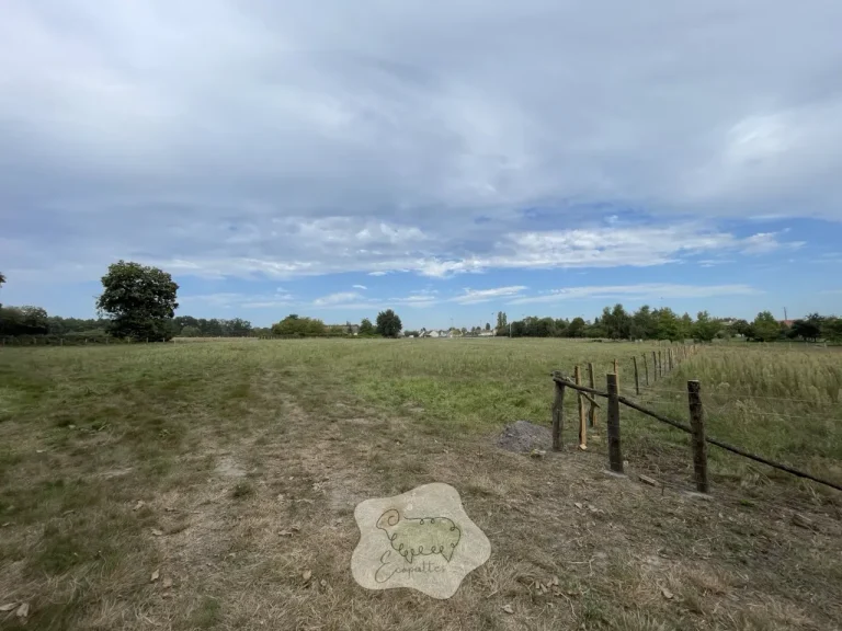 Crottes de mouton : bon engrais… ou fausse bonne idée en éco-pâturage ?