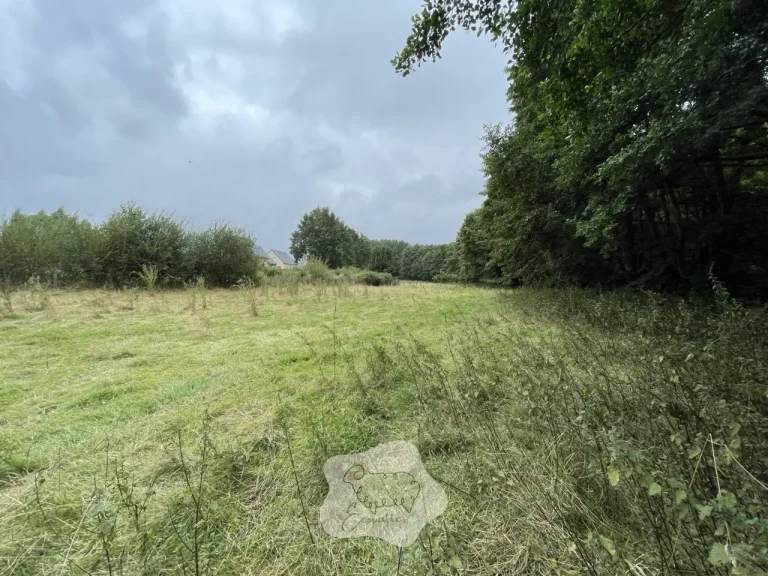 Éco-pastoralisme : l’éco-pâturage… mais à l’échelle du paysage (et ça change tout)