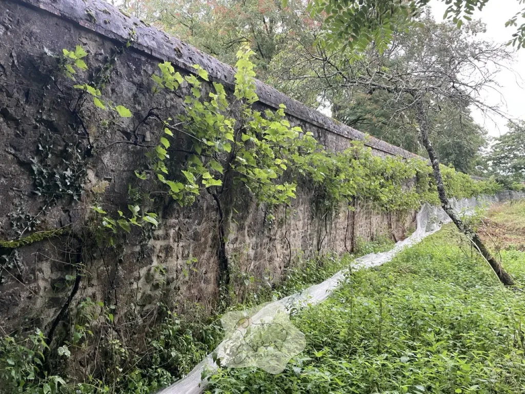 interet-eco-paturage-ecopattes