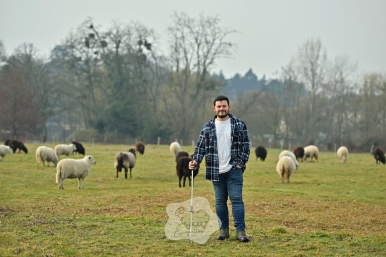 Les 7 erreurs qui font échouer un projet d’éco-pâturage (même avec de bonnes intentions)