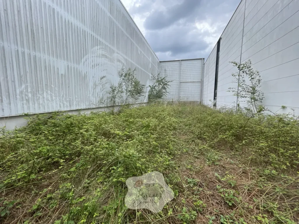 responsabilite-eco-paturage-ecopattes