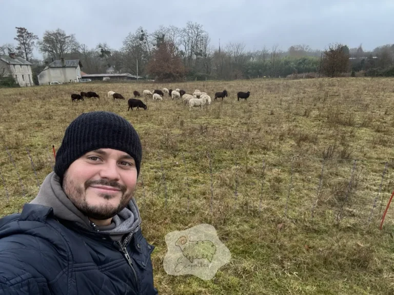 Peut-on mélanger chevaux et bovins ou ovins sur un même site ?
