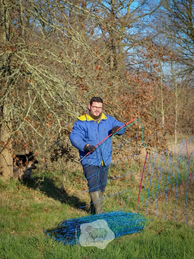 Éco-pâturage en entreprise : une solution durable pour entretenir vos espaces verts et renforcer votre engagement écologique