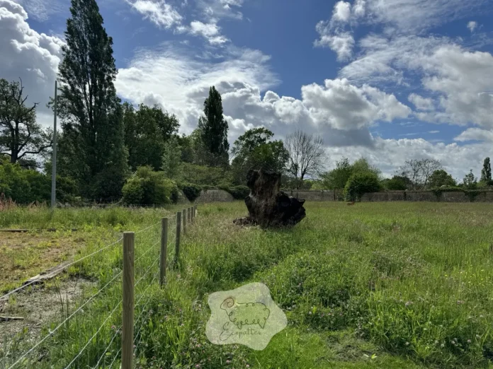 eco-paturage-approche-durable-bourgogne-franche-comte-ecopattes eco-paturage-approche-durable-bourgogne-franche-comte-ecopattes