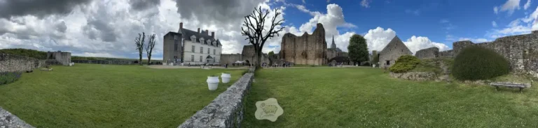 L’éco-pâturage : une solution durable qui s’étend dans les Pays de la Loire