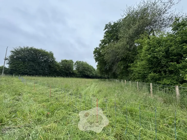 Ferme itinérante : optimiser l’éco-pâturage pour la biodiversité locale