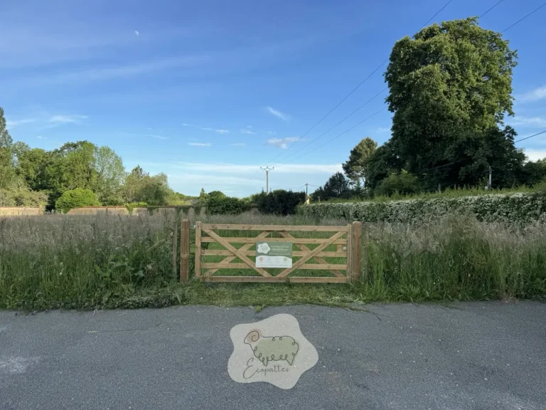 Comment la ferme itinérante révolutionne l’éco-pâturage en milieu urbain