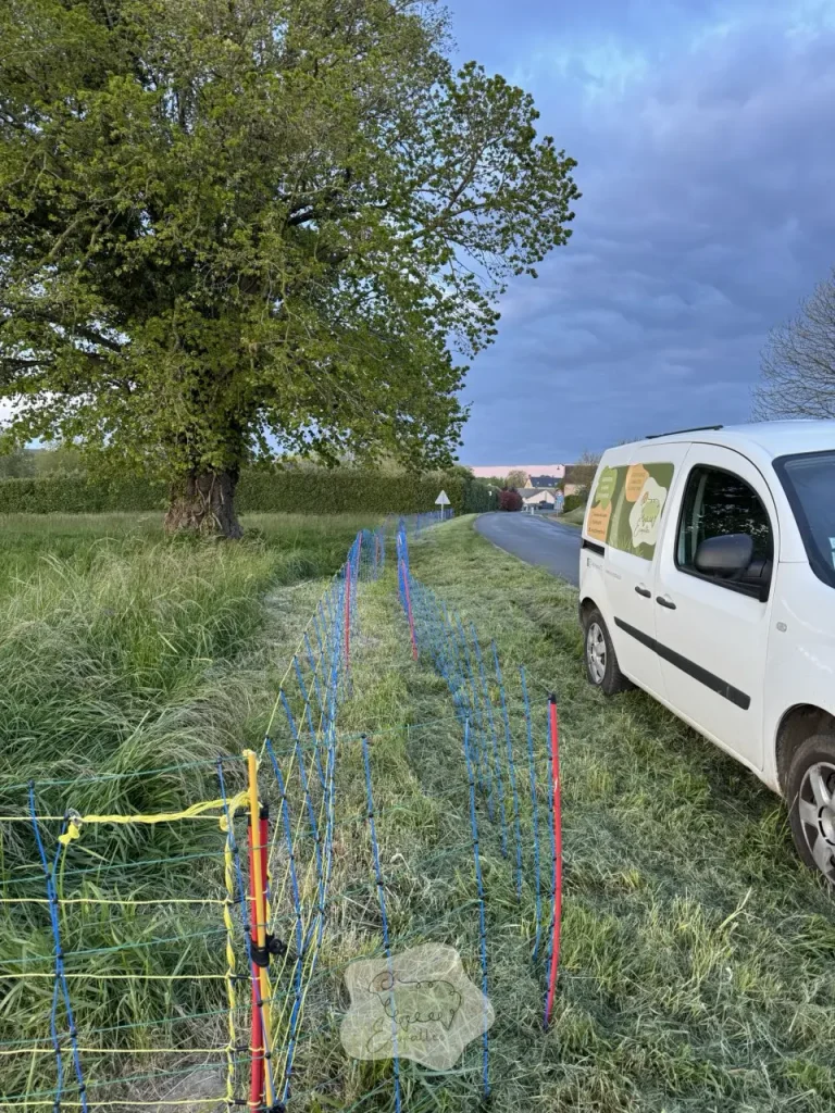 L’éco-pâturage : une solution durable pour les territoires du Grand Est