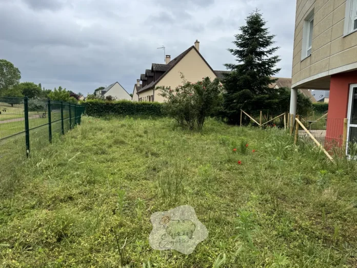 ecopaturage-zones-humides-sensibles-ecopattes ecopaturage-zones-humides-sensibles-ecopattes