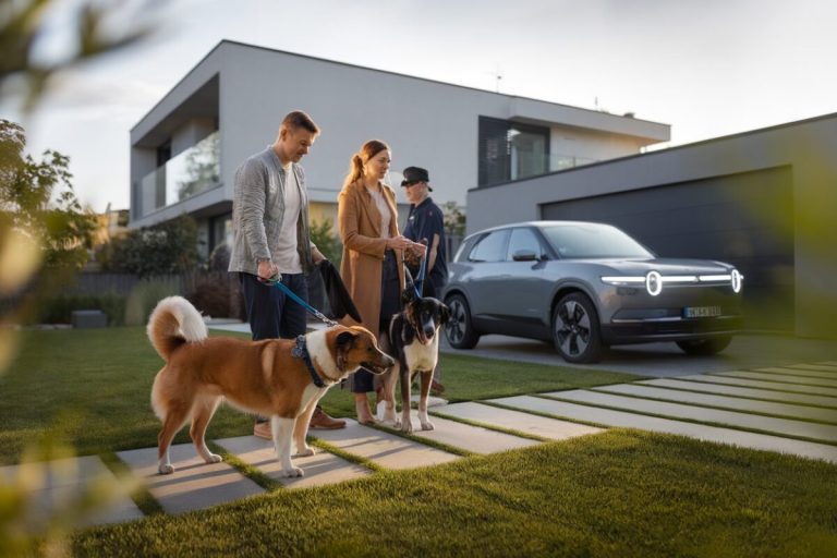 Border collie contre berger australien sur 800 m² : cette rivalité canine qui vire au cauchemar pour les propriétaires mal préparés